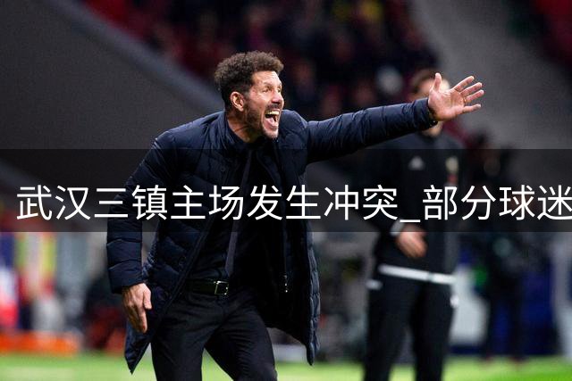武汉三镇主场发生冲突 部分球迷对天津队做出不当行为